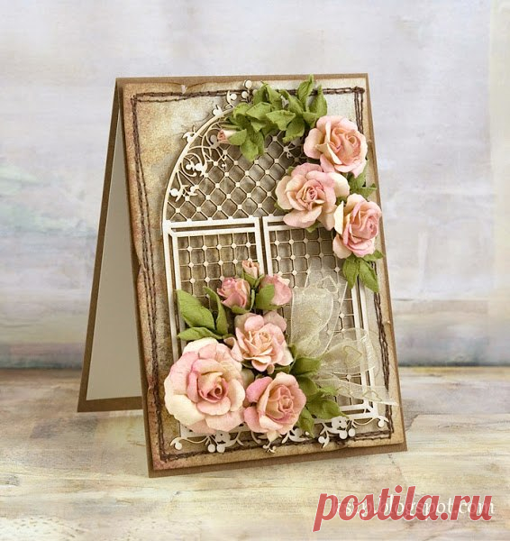 Фотографии на стене сообщества | 33 574 фотографии