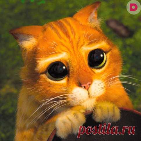 Доказано, что обида, особенно глубоко сидящая, может нанести серьезный вред здоровью. Именно поэтому надо уметь прощать.