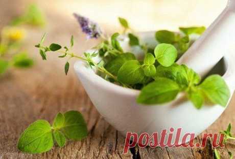 1. Ромашка - легкое осветление и укрепление.
2. Крапива - укрепление.
3. Аир - против выпадения и для укрепления.
7. Корень лопуха - укрепляет корни волос, усиливает их рост.
8. Семена льна - блеск, предотвращение сечения.
9. Хвощ полевой - уменьшает выпадение и ломкость волос, стимулирует рост.
10. Шалфей - блеск, устранение выпадения.
11. Кора дуба - предотвращает ломкость, слабость, выпадение, повышенную сальность, наличие перхоти.