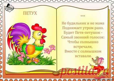 Интересные новости