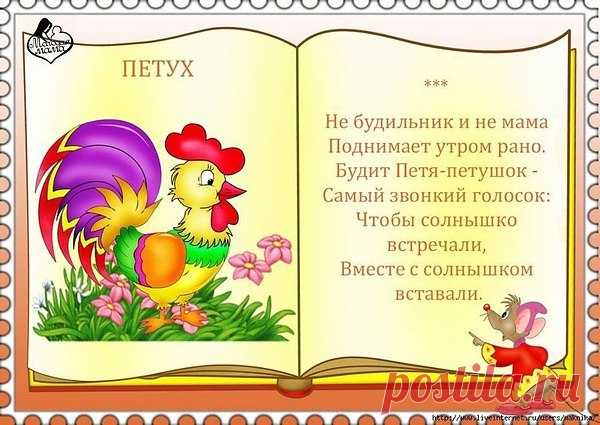 Интересные новости
