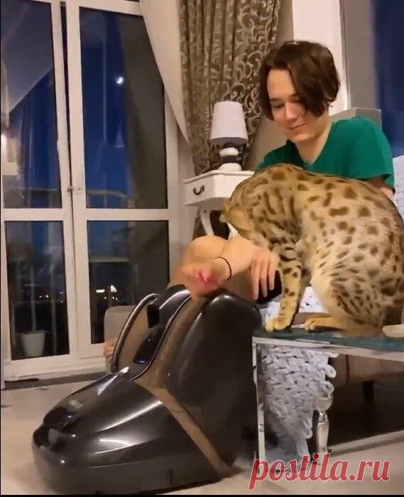 Анастасия Макеева продолжает бороться за женское счастье.
Наверное даже самый ленивый человек или самый далёкий от шоу-бизнеса человек, в курсе ситуации, которую создала актриса и певица Анастасия Макеева вокруг своей талантливой персоны. Даже те люди, кто не знал кто такая Макеева, узнали. Потому что актриса так рьяно и самоотверженно борется за своё женское счастье и не одинокую старость и судя по её […]
Читай дальше на сайте. Жми подробнее ➡