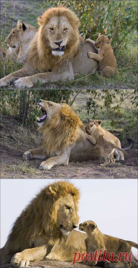 Первая встреча