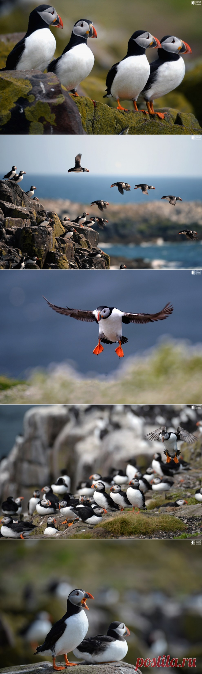 Тупики - Путешествуем вместе