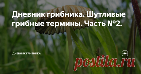 Дневник грибника. Шутливые грибные термины. Часть №2. ТСЖ
Не является эксклюзивным мемом только нашего форума, но цитируется немногим более, чем очень часто.
Отнюдь не Товарищество Собственников Жилья, как это может показаться на первый взгляд. ТСЖ - это трутовик серно-желтый.
В каждой профессиональной среде есть свой сленг и свои аббревиатуры, которые непосвященным непонятны.