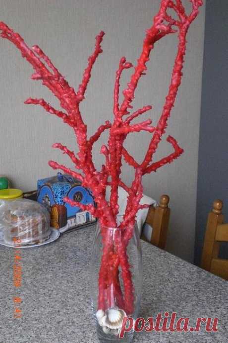 Коралловые ветки