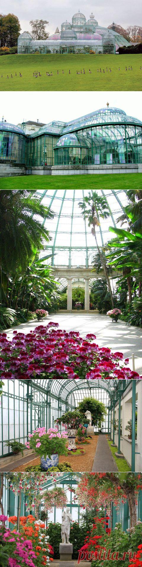 Королевские оранжереи Брюсселя