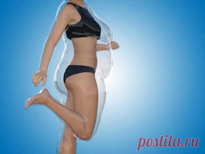 5 способов остановить отложение жира в организме / Будьте здоровы