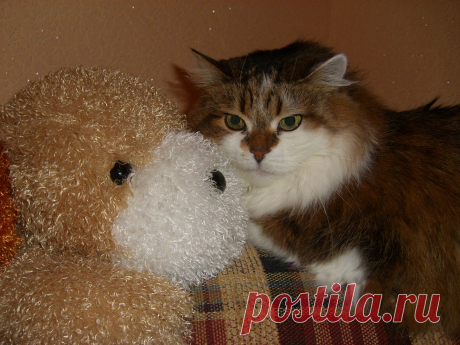 Где посадили, с тем и &quot;дружу&quot;!