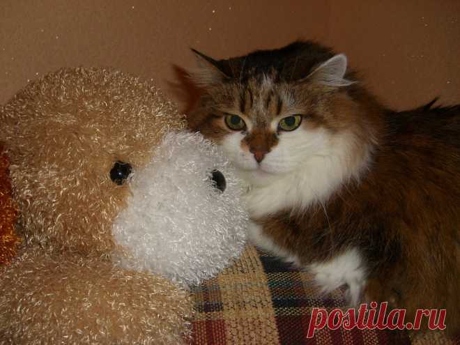 Где посадили, с тем и "дружу"!