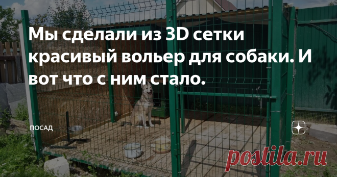 Мы сделали из 3D сетки красивый вольер для собаки. И вот что с ним стало. Чтобы собака на даче не бегала по грядкам, не рыла газон в поисках кротов и не убегала с участка, ссоря хозяина с владельцами деревенской живности, ей нужен вольер.

Мы решили сделать не просто вольер, а вольер, который не испортит внешний вид участка. Сделали его мы в едином цвете «зелёный мох», чтобы не выделялся из ансамбля участка.