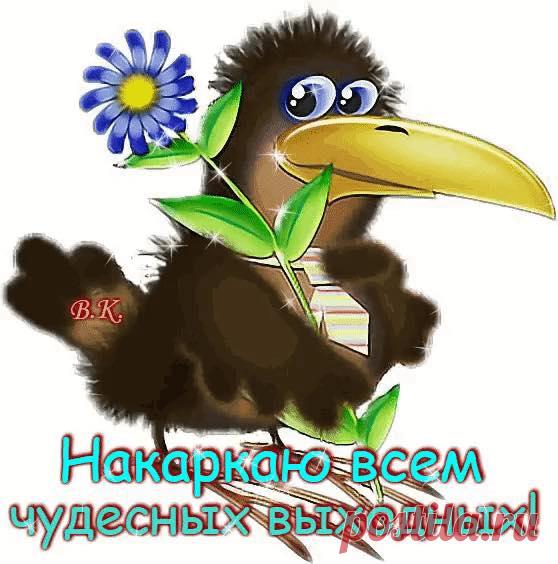 (1) Открытки для поздравления