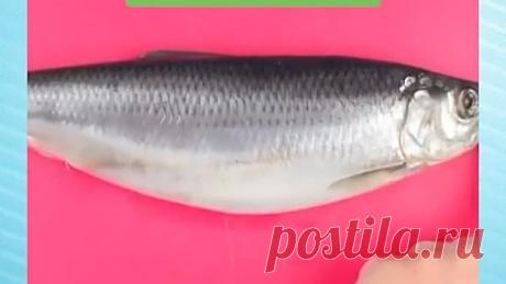 🐟 Как определить сельдь с икрой