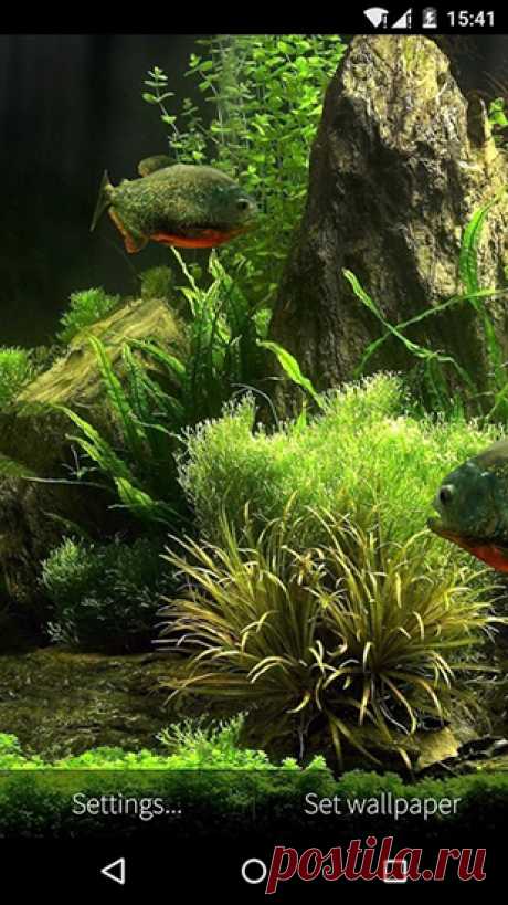 Живые обои для Андроид Fish aquarium 3D (рыбы, аквариум) -  обои для Android