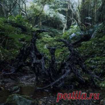 Fatalism - (N)Ether (2025) Artist: Fatalism Album: (N)Ether Year: 2025 Country: Thailand Style: Ambient, Experimental