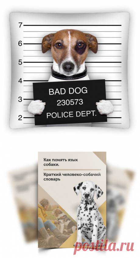 🐶 КАК ИСПРАВИТЬ ПОВЕДЕНИЕ СОБАКИ 

ЗА 3 ДНЯ