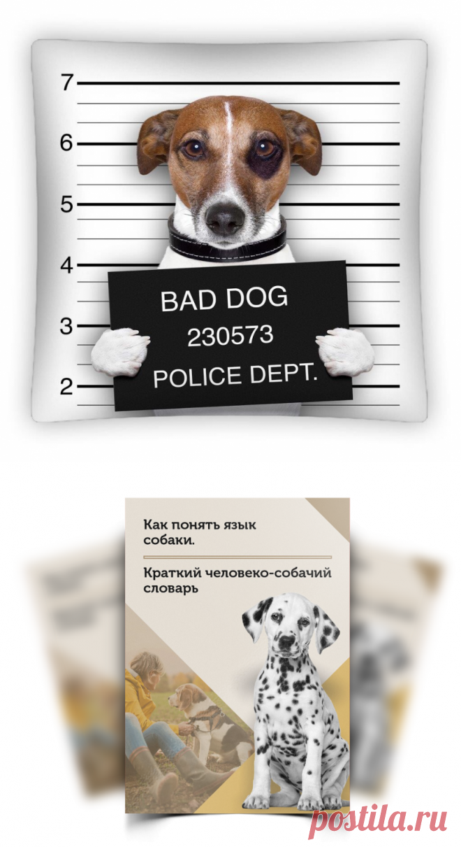 🐶 КАК ИСПРАВИТЬ ПОВЕДЕНИЕ СОБАКИ 

ЗА 3 ДНЯ