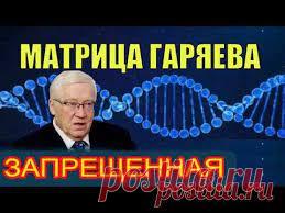 В чём суть и механизм действия матриц Гаряева? (Марина Дудина) / Проза.ру