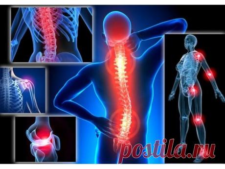 Волшебный напиток для профилактики остеохондроза и заболеваний суставов.
Рекомендуемые курсы приема 1-3 месяца 1-2 раза в год.
Способ применения:
Утренний сбор: 1 ст. ложку (без верха) залить 1 стаканом кипятка. Настаивать 10 минут. Принимать утром по 0,5-1 стакану теплого настоя за 30 мин до еды.
Сбор вечерний: вечером за 30 минут до еды. Оказывает мягкое седативное действие.
Основные показания:
- остеохондроз, артрозо-артрит, ревматоидный полиартрит
- постревматические с...