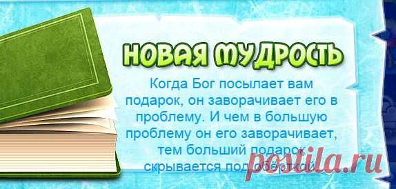 (3) Одноклассники