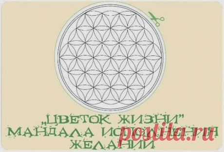 (92) Одноклассники