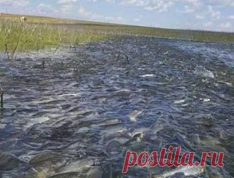 Как ловить рыбу весной – Рыбалке.нет
