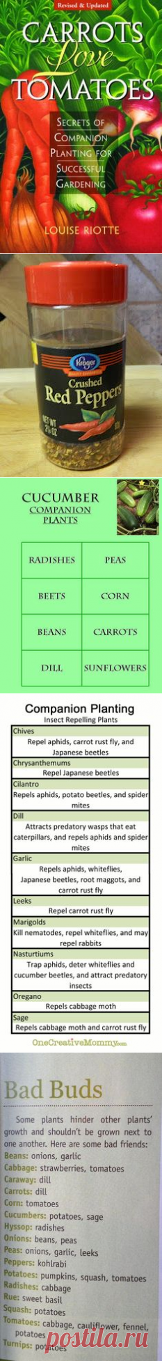 (1059) Pinterest • Всемирный каталог идей