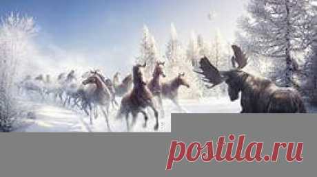 птицы на снегу обои: 12 тыс изображений найдено в Яндекс.Картинках