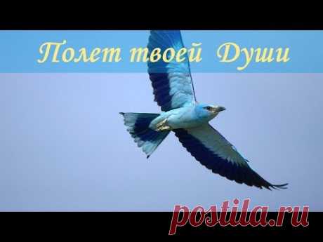 Мантра исцеления ༺♥༻ Души