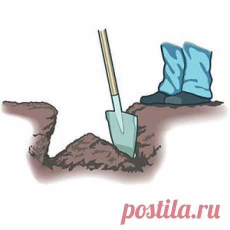 Идея для сада