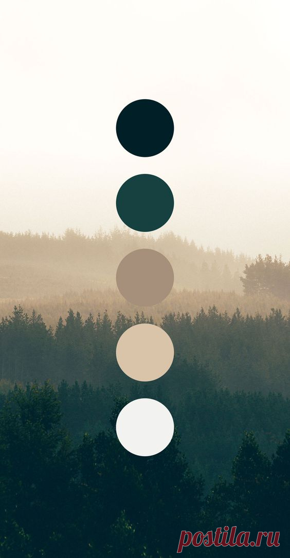 Color Palette