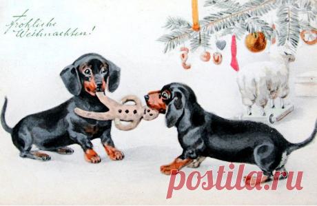 Найдено на сайте dachshundlove.blogspot.com.