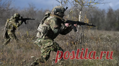 ВС России зачищают Светлое и Гришино в ДНР. В Минобороны России заявили, что российские военные ведут зачистку от украинских оккупантов населённых пунктов Светлое и Гришино в ДНР. Читать далее