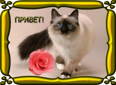 Привет!