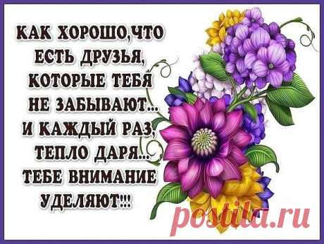 (43) Одноклассники