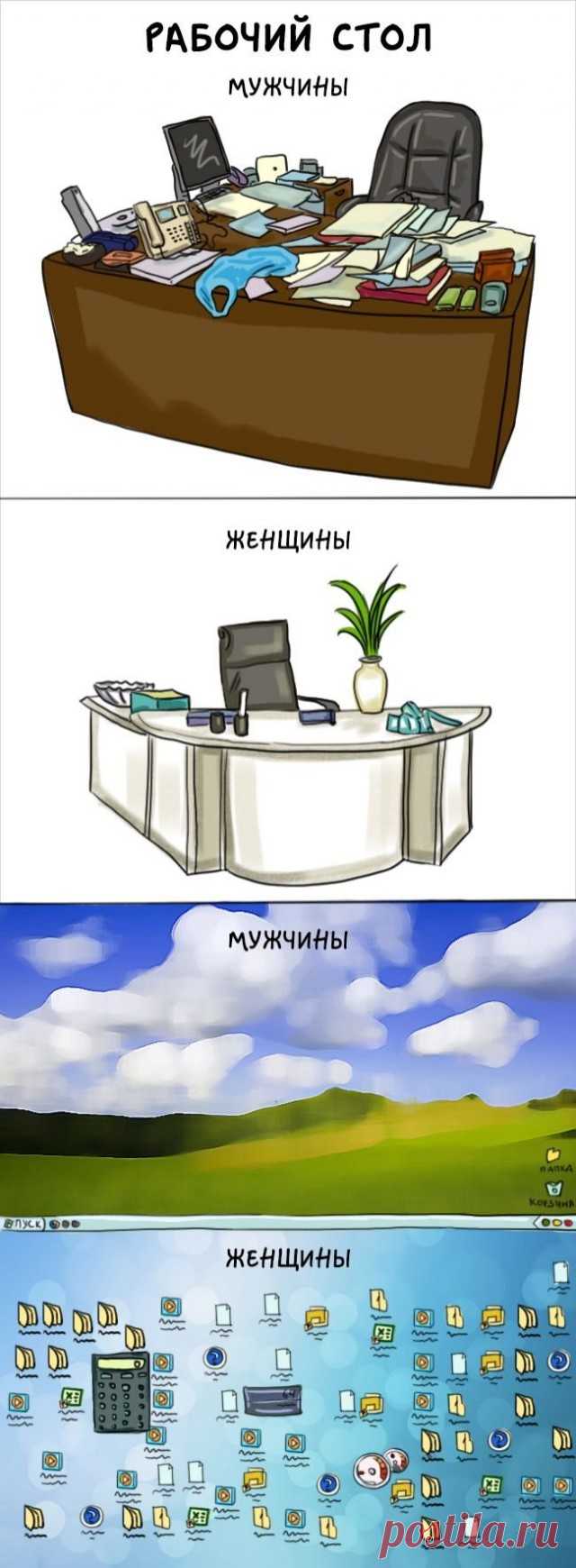 Чем отличаются друг от друга мужчины и женщины