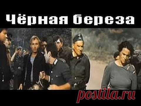 Чёрная береза. 1977г. 2 - Серии..