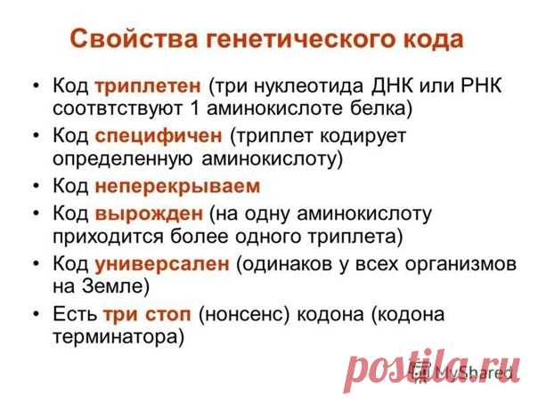СВОЙСТВА ГЕНЕТИЧЕСКОГО КОДА
1)ТРИПЛЕТНОСТЬ - 1 аминокислота кодируется 3мя нуклеотидами. Эти 3 нуклеотида называются - триплет в ДНК, в иРНК - кодон, в тРНК - антикодон.
2)Избыточность (вырожденность) - всего аминокислот 20, триплетов 64, поэтому каждая аминокислота кодируется несколькими триплетами (причем 