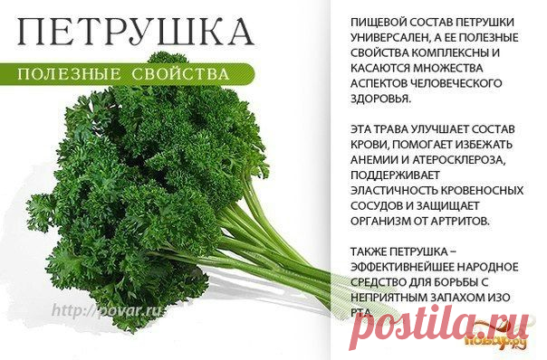 Польза зелени - важно знать!
