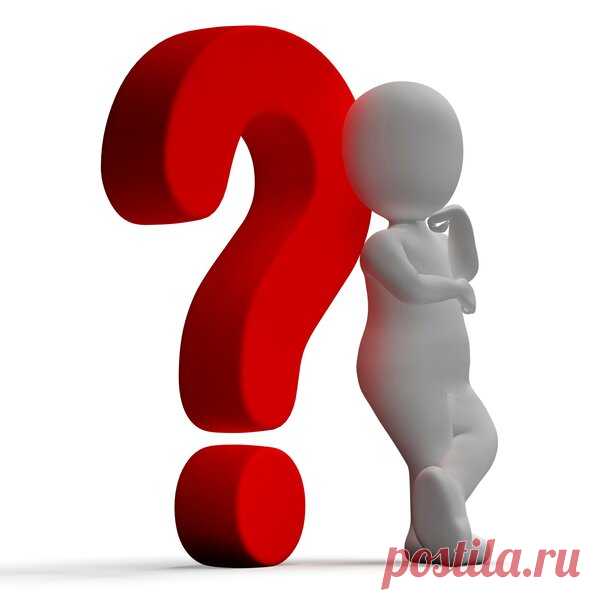 Сколько спиннингов нужно рыболову для полного счастья? Размышление. | Блоги о даче и огороде, рецептах, красоте и правильном питании, рыбалке, ремонте и интерьере