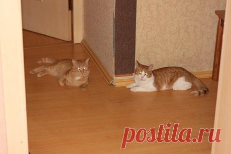 Александр Колосов | ВКонтакте