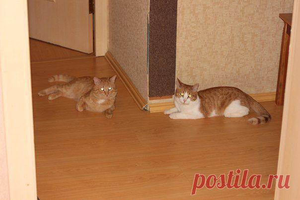 Александр Колосов | ВКонтакте