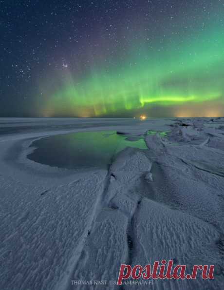 Thomas-Kast-Auroras-Thomas-Kast-2020-02-29__1582995293_strip.jpg (520×673)