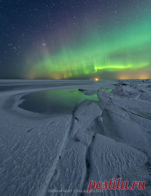 Thomas-Kast-Auroras-Thomas-Kast-2020-02-29__1582995293_strip.jpg (520×673)