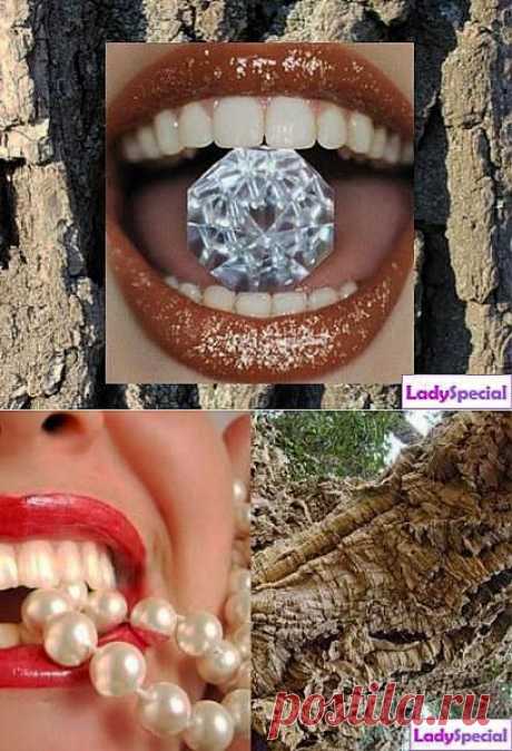 Кора дуба для зубов - Женский журнал LadySpecial.ru