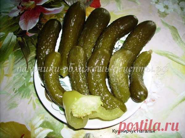 МОИ соленые огурцы(квашеные)