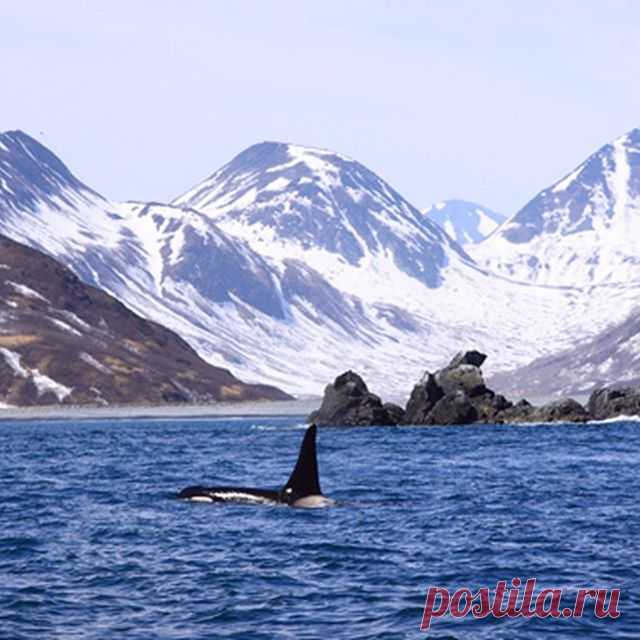 ЖЕМЧУЖИНА ДАЛЬНЕГО ВОСТОКА⛵
от 431 352 руб. / 13 дней

#travel #traveling #holiday #vacation #travelling #sun #hot #love #ilove #instatravel #tourist #traveler #instalive #instalife #tourism #gf #colore #tagsta_travel #beauty #beautiful #amazing #сказочноебали #билетвлето #camplike
