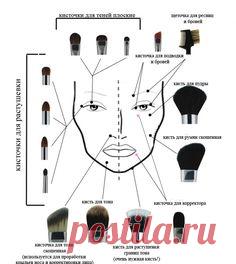 Виды кистей для макияжа