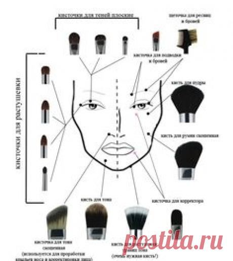 Виды кистей для макияжа