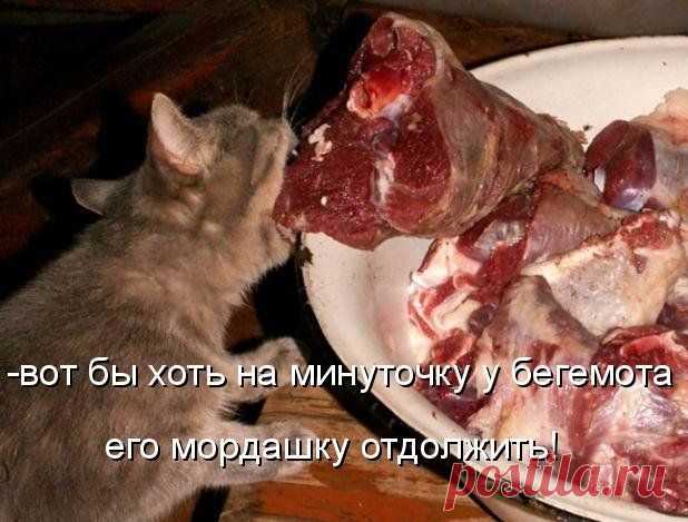 Запеченое мясо 